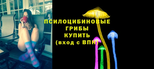 первитин Вяземский