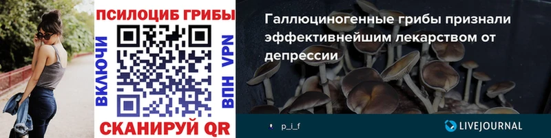 купить наркоту Очёр Галлюциногенные грибы Psilocybine cubensis